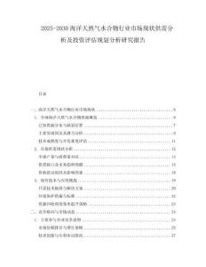 2025-2030海洋天然氣水合物行業(yè)市場(chǎng)現(xiàn)狀供需分析及投資評(píng)估規(guī)劃分析研究報(bào)告