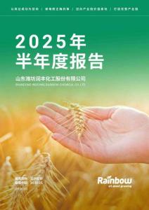 【深交所-2025研報】潤豐股份2025年半年度報告