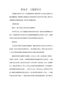 大數(shù)據(jù)審計