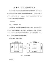 信息系統(tǒng)審計(jì)實(shí)施