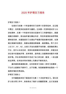 2025年護理見習報告
