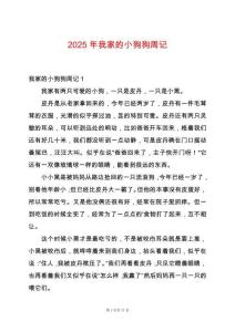 2025年我家的小狗狗周記