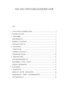 2025-2030中國汽車改裝文化發展現狀與趨勢