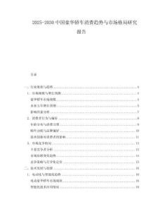 2025-2030中國豪華轎車消費趨勢與市場格局研究報告