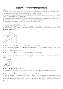 蘭考縣2024-2025學年中考數學模擬精編試卷含解析