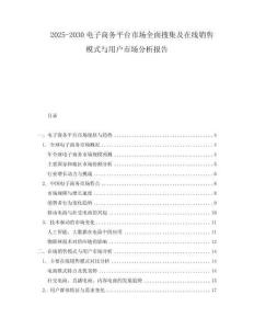2025-2030電子商務(wù)平臺市場全面搜集及在線銷售模式與用戶市場分析報告