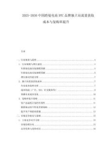 2025-2030中國跨境電商DTC品牌獨立站流量獲取成本與復購率提升