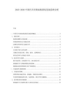 2025-2030中國汽車經銷商集團化發展趨勢分析