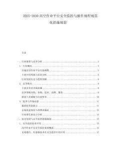 2025-2030高空作業平臺安全監控與操作規程規范化措施規劃