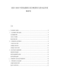 2025-2030中國電感器行業并購重組與資本運作策略研究