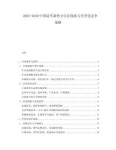 2025-2030中國造車新勢力生存現(xiàn)狀與差異化競爭策略