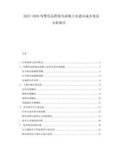 2025-2030母嬰用品跨境電商獨立站建站成本效益分析報告