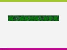 胸部損傷病人的護理診斷ppt