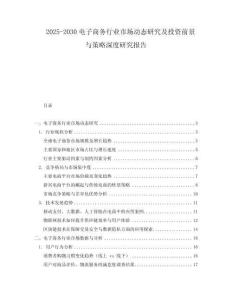 2025-2030電子商務行業市場動態研究及投資前景與策略深度研究報告