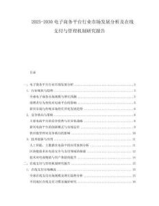 2025-2030電子商務平臺行業市場發展分析及在線支付與管理機制研究報告