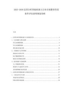 2025-2030法國分析智能機器人行業市場繁榮供需條件評估盈利規劃攻略