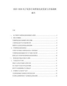 2025-2030電子商務行業跨境電商發展與市場戰略報告