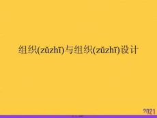2021組織與組織設(shè)計推薦資料