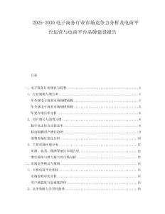 2025-2030電子商務行業市場競爭力分析及電商平臺運營與電商平臺品牌建設報告