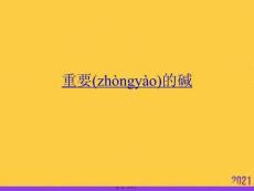 2021重要的堿推薦資料