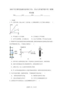 2025年甘肅省武威市涼州區豐樂、金山九年制學校中考三模物理試題（附答案解析）