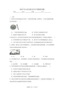 2025年山東省泰安市中考物理試題（無答案）