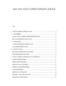 2025-2030中國汽車品牌聯(lián)名營銷案例與效果評估