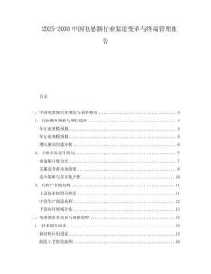 2025-2030中國電感器行業(yè)渠道變革與終端管理報告