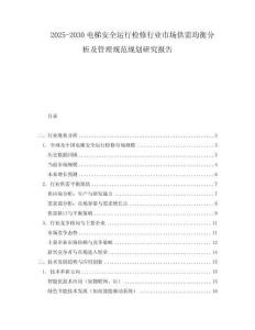 2025-2030電梯安全運行檢修行業市場供需均衡分析及管理規范規劃研究報告