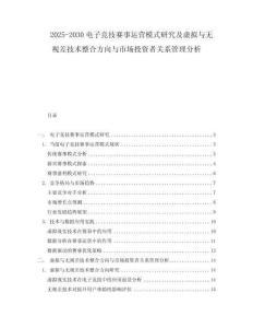 2025-2030電子競技賽事運營模式研究及虛擬與無視差技術整合方向與市場投資者關系管理分析