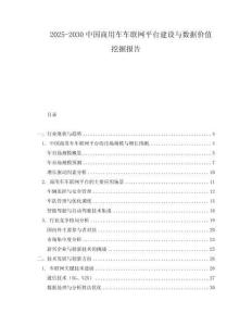 2025-2030中國商用車車聯網平臺建設與數據價值挖掘報告