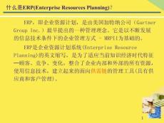 ERP概念完整版資料