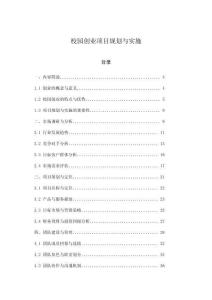 校園創業項目規劃與實施