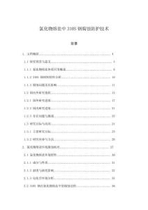 氯化物熔鹽中310S鋼腐蝕防護(hù)技術(shù)