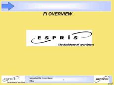 FIoverviewIGINT完美版資料