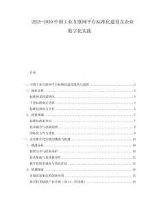 2025-2030中國工業互聯網平臺標準化建設及企業數字化實踐