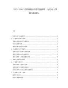 2025-2030中國智能電表通信協(xié)議統(tǒng)一與用電大數(shù)據分析報告