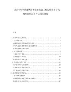 2025-2030高速鐵路橋梁樁基施工穩(wěn)定性需求研究地質(zhì)勘察投資評估技術(shù)路線
