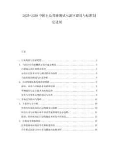 2025-2030中國自動駕駛測試示范區建設與標準制定進展