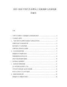 2025-2030中國汽車品牌向上突破戰略與高端化路徑報告