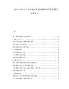 2025-2030電子商務領域發展趨勢與運營管理模式解析報告
