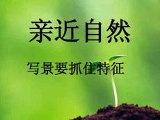 親近自然-寫景要抓住特征.ppt(共36張PPT)