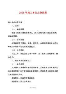 2025年施工單位應急預案