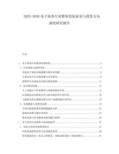 2025-2030電子商務行業整體發展前景與投資方向深度研究報告