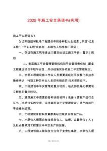 2025年施工安全承諾書(實用)