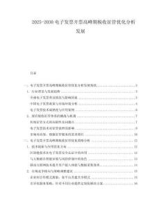 2025-2030電子發(fā)票開票高峰期稅收征管優(yōu)化分析發(fā)展