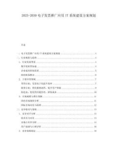 2025-2030電子發(fā)票推廣應(yīng)用IT系統(tǒng)建設(shè)方案規(guī)劃