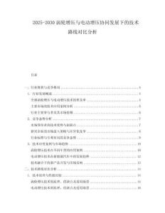 2025-2030渦輪增壓與電動增壓協同發展下的技術路線對比分析