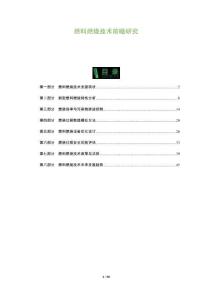 燃料燃燒技術(shù)前瞻研究-洞察及研究