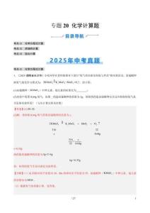 專題20 化學(xué)計算題（全國通用）（第02期）（解析版）【好題匯編】2025年中考化學(xué)真題分類匯編（全國通用）